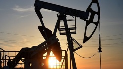 Сокращение мировых запасов нефти займет много времени, считают в ОАЭ