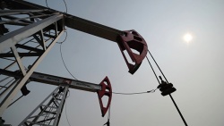 Страны-участники соглашения о сокращении добычи нефти, не входящие в ОПЕК, в марте выполнили его условия примерно на 80%