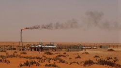 "Роснефть" снизила среднюю добычу нефти более чем 70 тысяч баррелей 