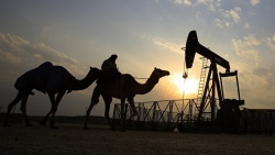Добыча нефти на ливийском месторождении Хамада возобновлена