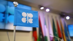 Комитет ОПЕК+ обсудит сокращение добычи нефти в 2019 году