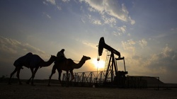 Нефть дешевеет на 3,6% на итогах встречи ОПЕК