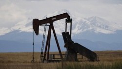 Эксперт усомнился, что США могут регулировать рынок нефти