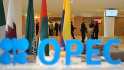 Египет заявил, что не будет присоединяться к соглашению ОПЕК+
